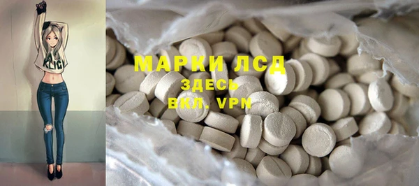 a pvp Магас