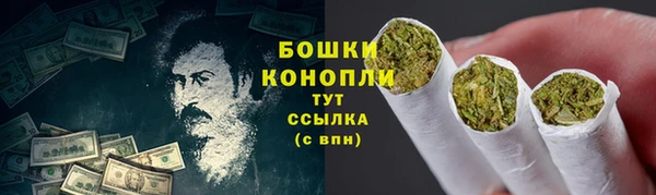 стафф Майский