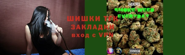 a pvp Магас