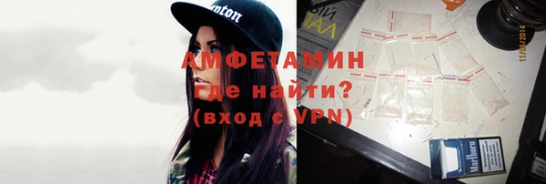индика Медвежьегорск