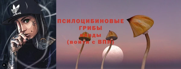 стафф Майский