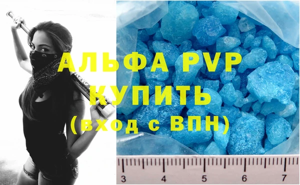 a pvp Магас