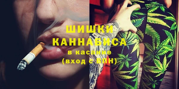стафф Майский