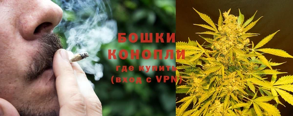 a pvp Магас