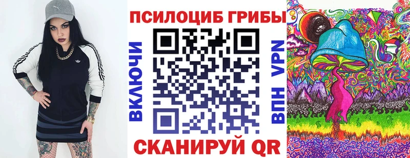 Псилоцибиновые грибы прущие грибы  Купить где  Избербаш 
